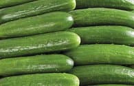 Огурец гладкий 