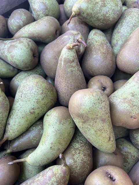 Конференция