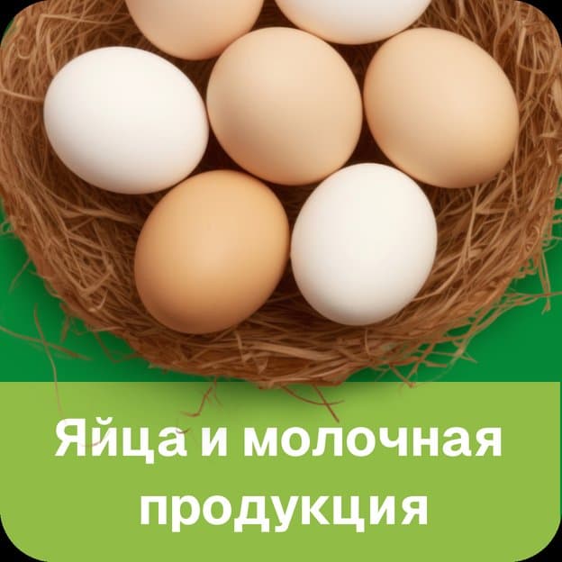 ЯЙЦА И МОЛОЧНАЯ ПРОДУКЦИЯ