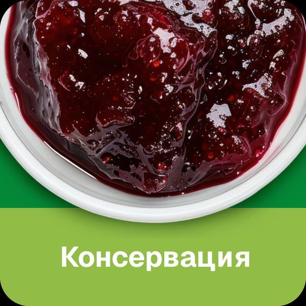 КОНСЕРВАЦИЯ